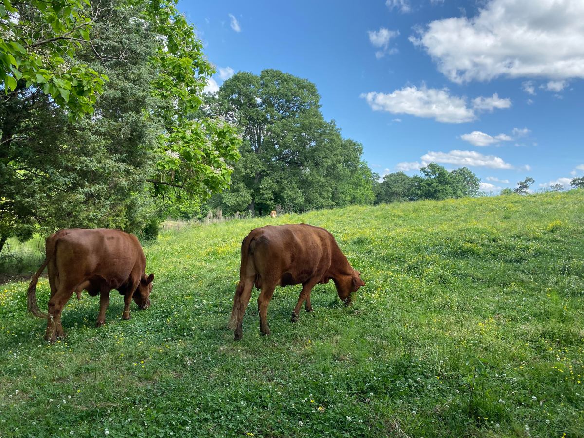 2024 New Year&nbsp;Plans